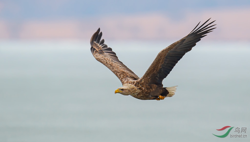DSC_6205-0.jpg