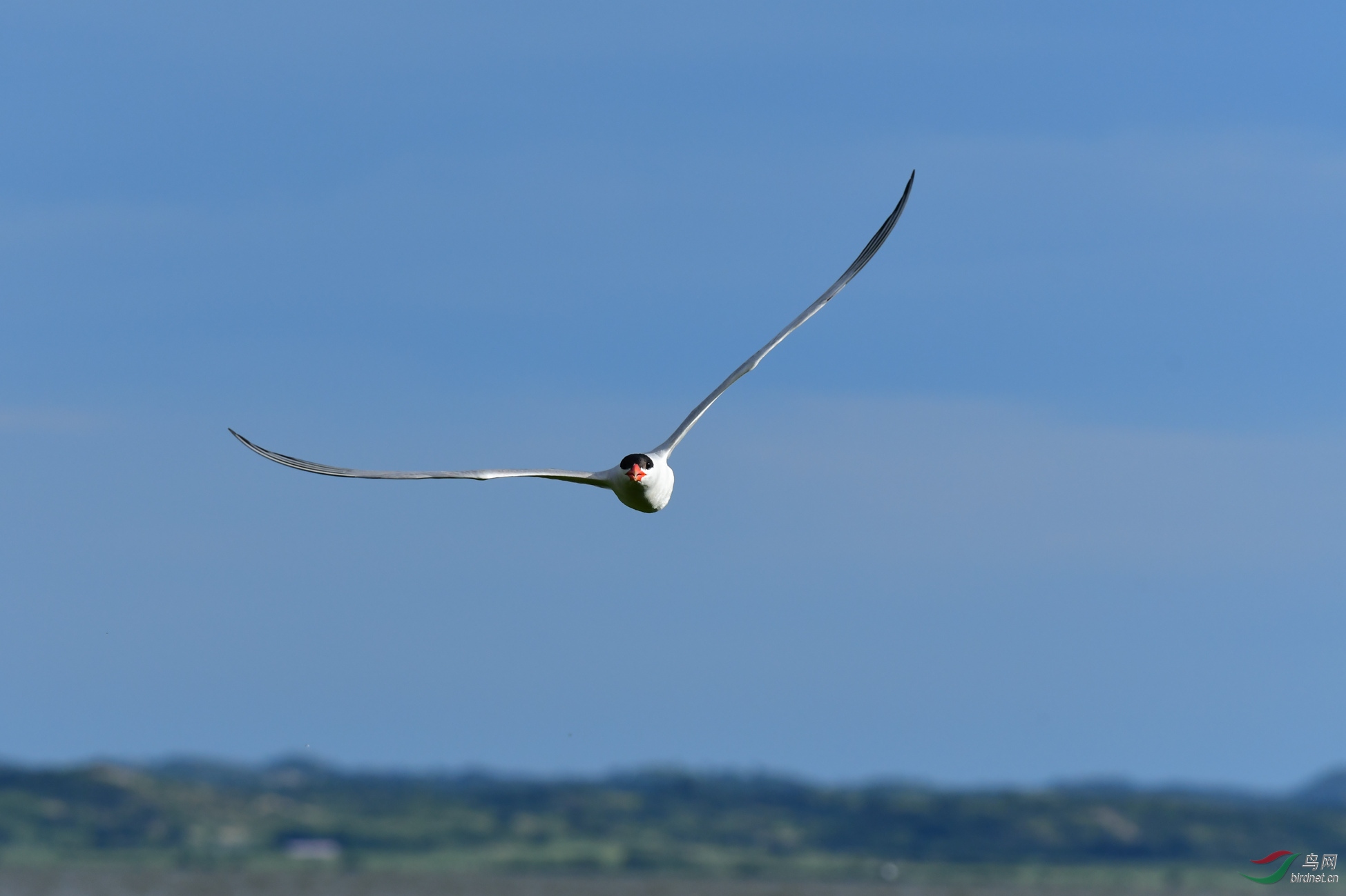 �����Ÿ ��ʲ���������ŵ����ڸ�ŵ����.JPG