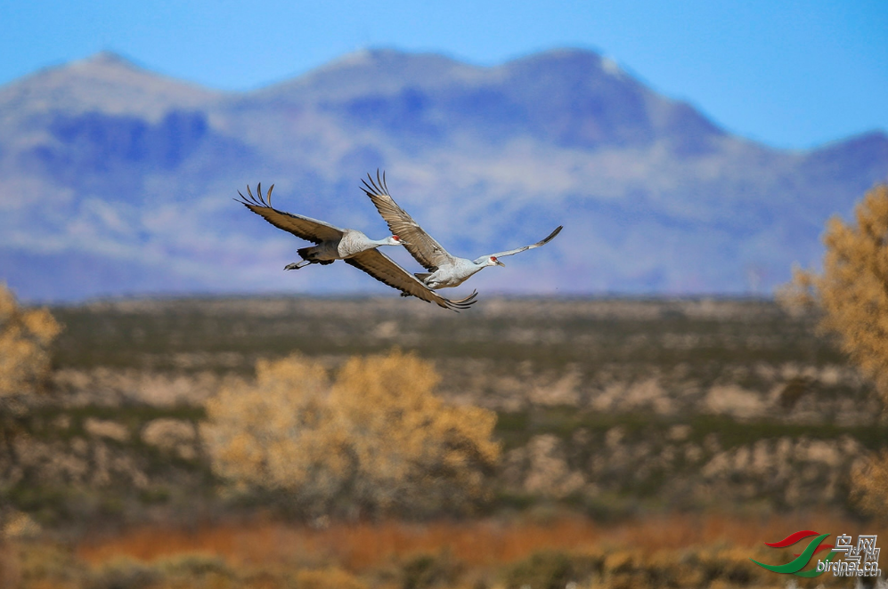 �ʷ� ��ʦ����������.png