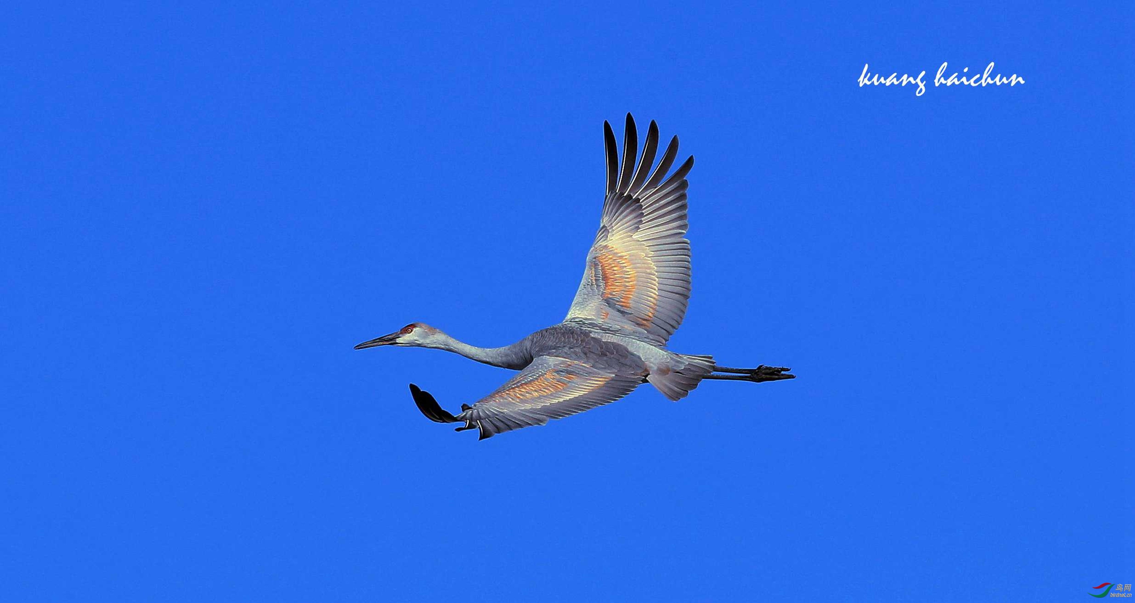 �л����� ��ʦ����������.jpg