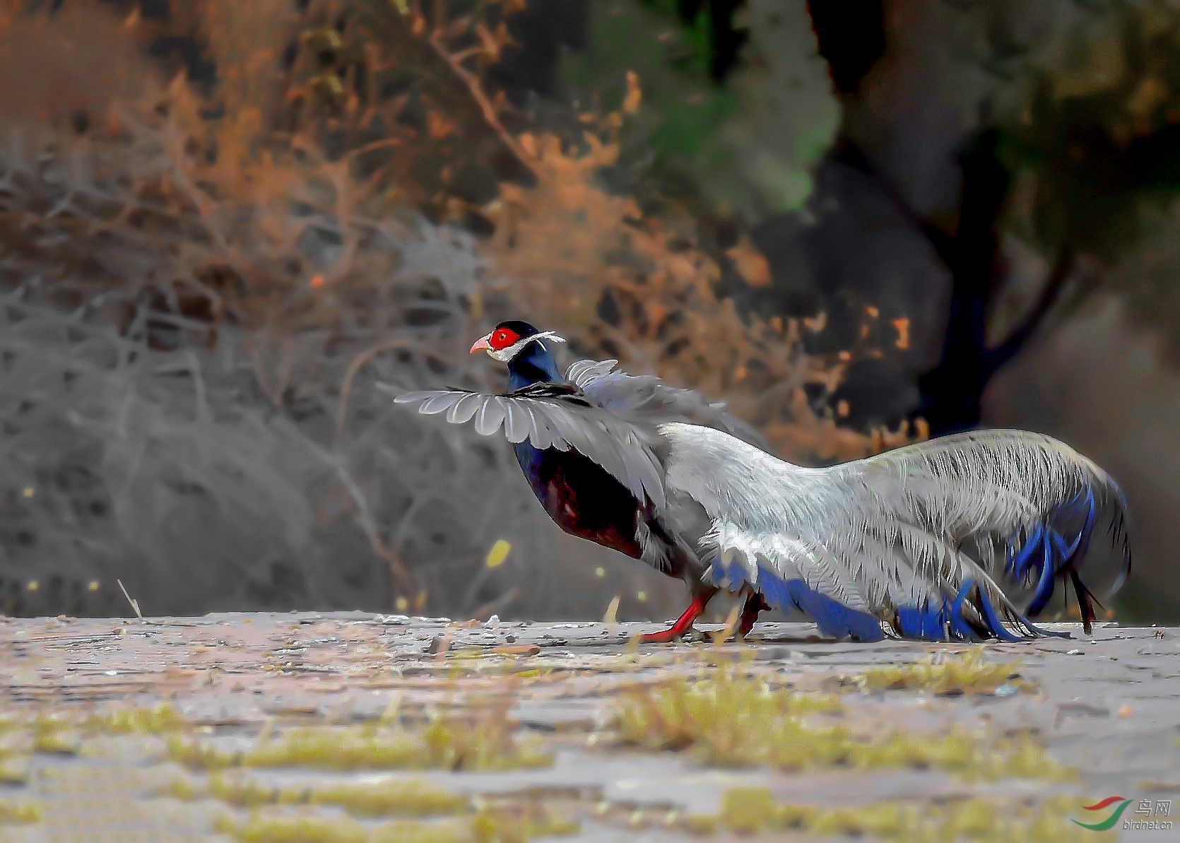 DSC_3296_��ͼ��_��ͼ��_����_����_����_����_����_����_����_����-�ָ���_���� (3)_����_����_����_����.jpg