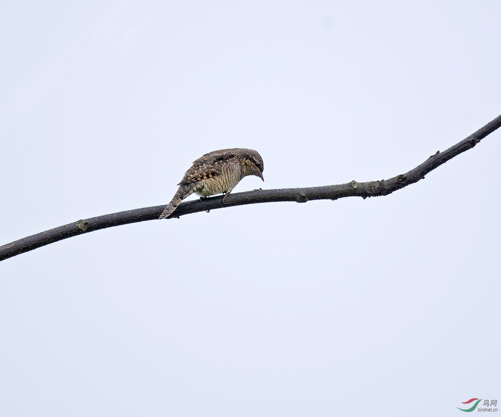 DSC_5160.jpg
