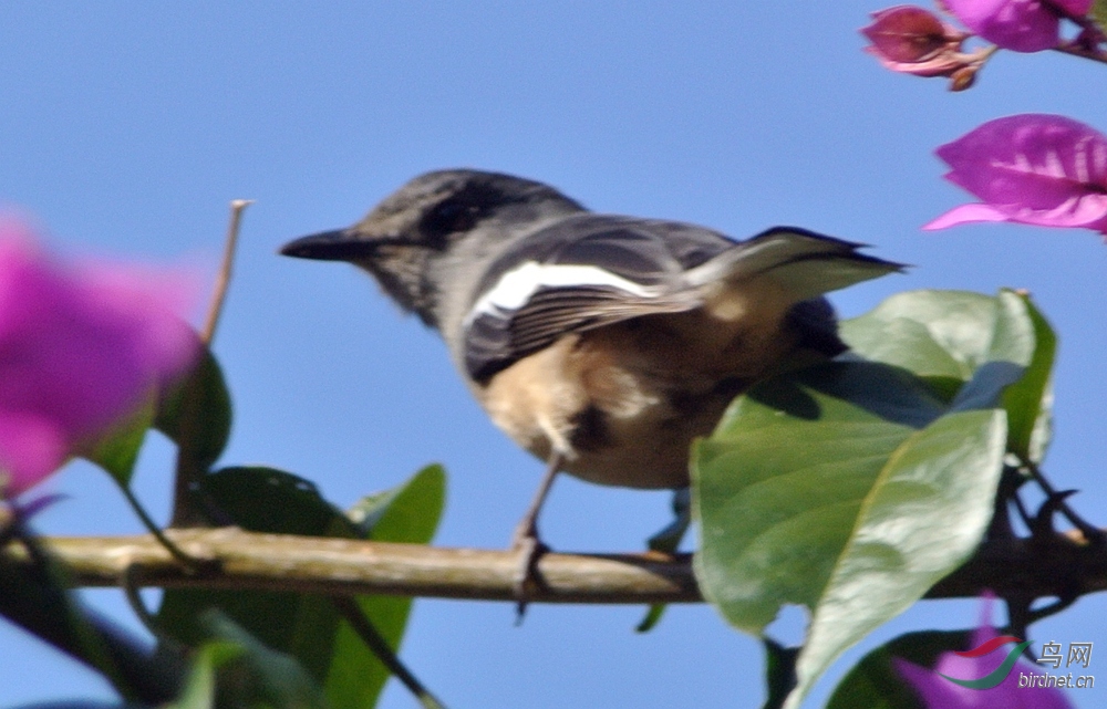 DSC_7784_����.jpg