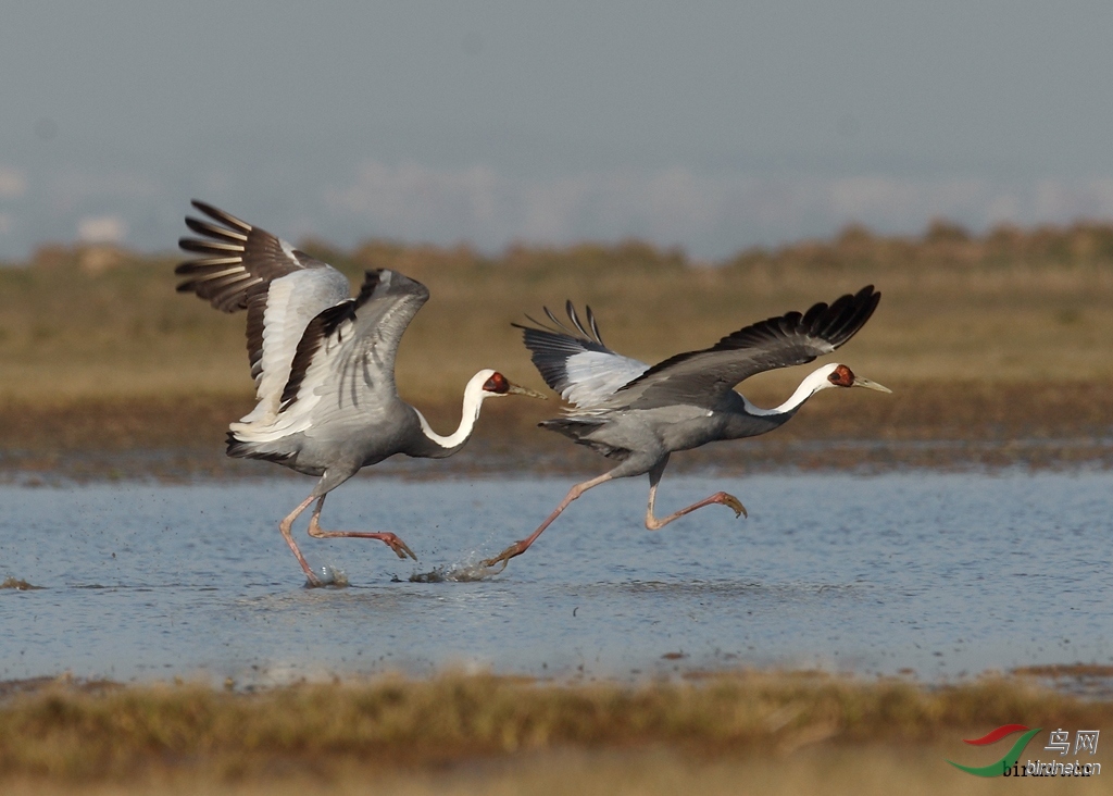 shendudu ��ʦ�����ڽ���ʡ�Ž��������.jpg