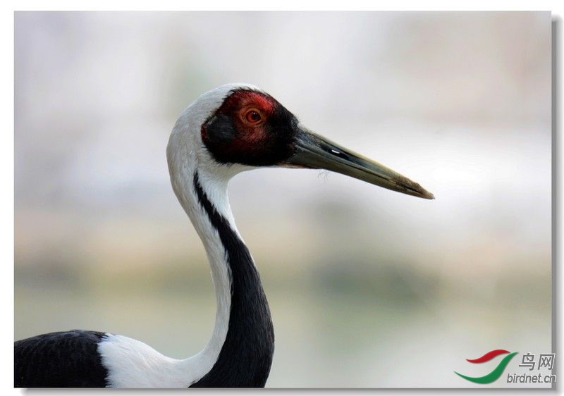 �����ӽ� ��ʦ�����ڱ����� ������.jpg