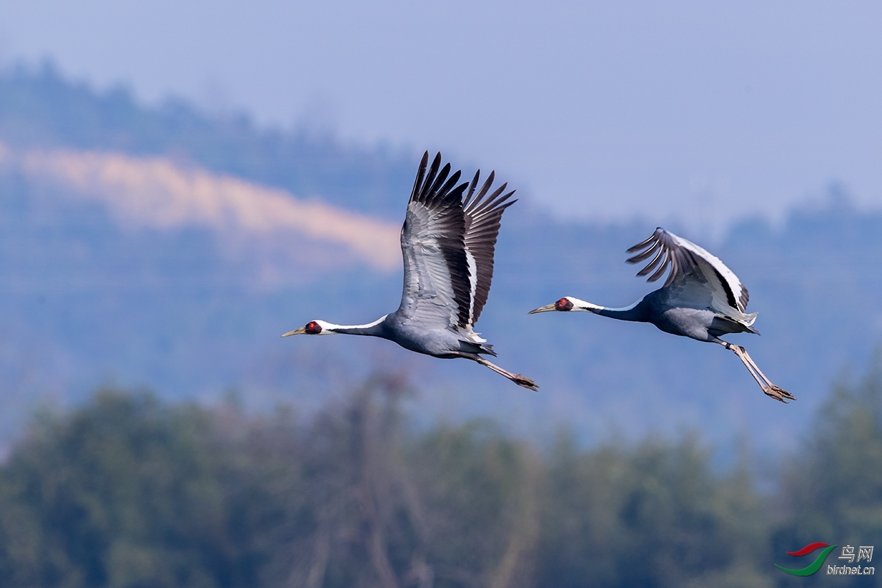 �Ϸ��Ĵ��� ��ʦ�������㽭ʡ ������.jpg