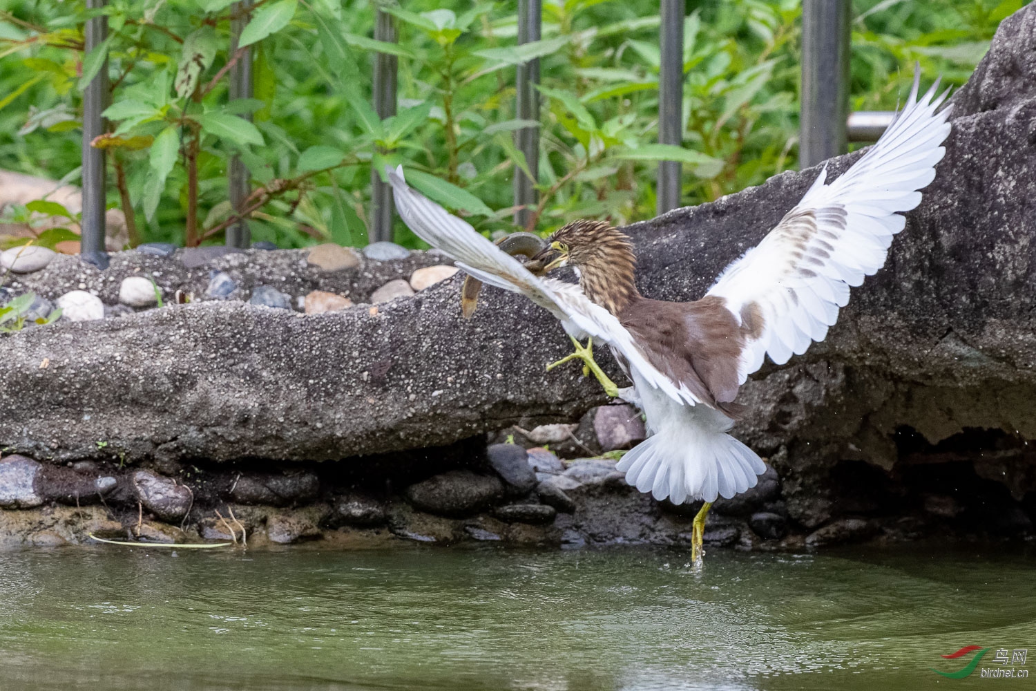 IMG_1594_DxO.jpg