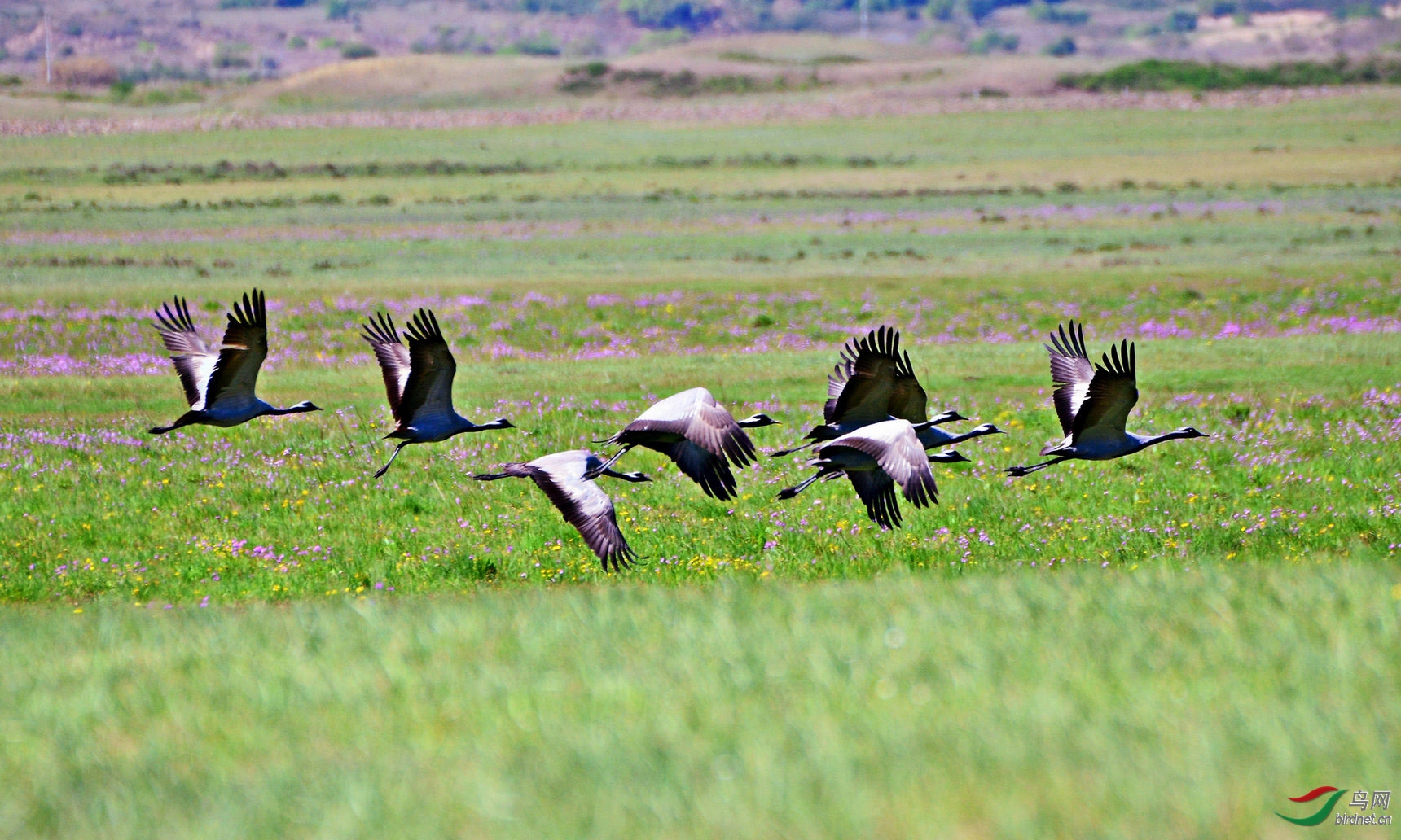 ��ľ����  500.jpg