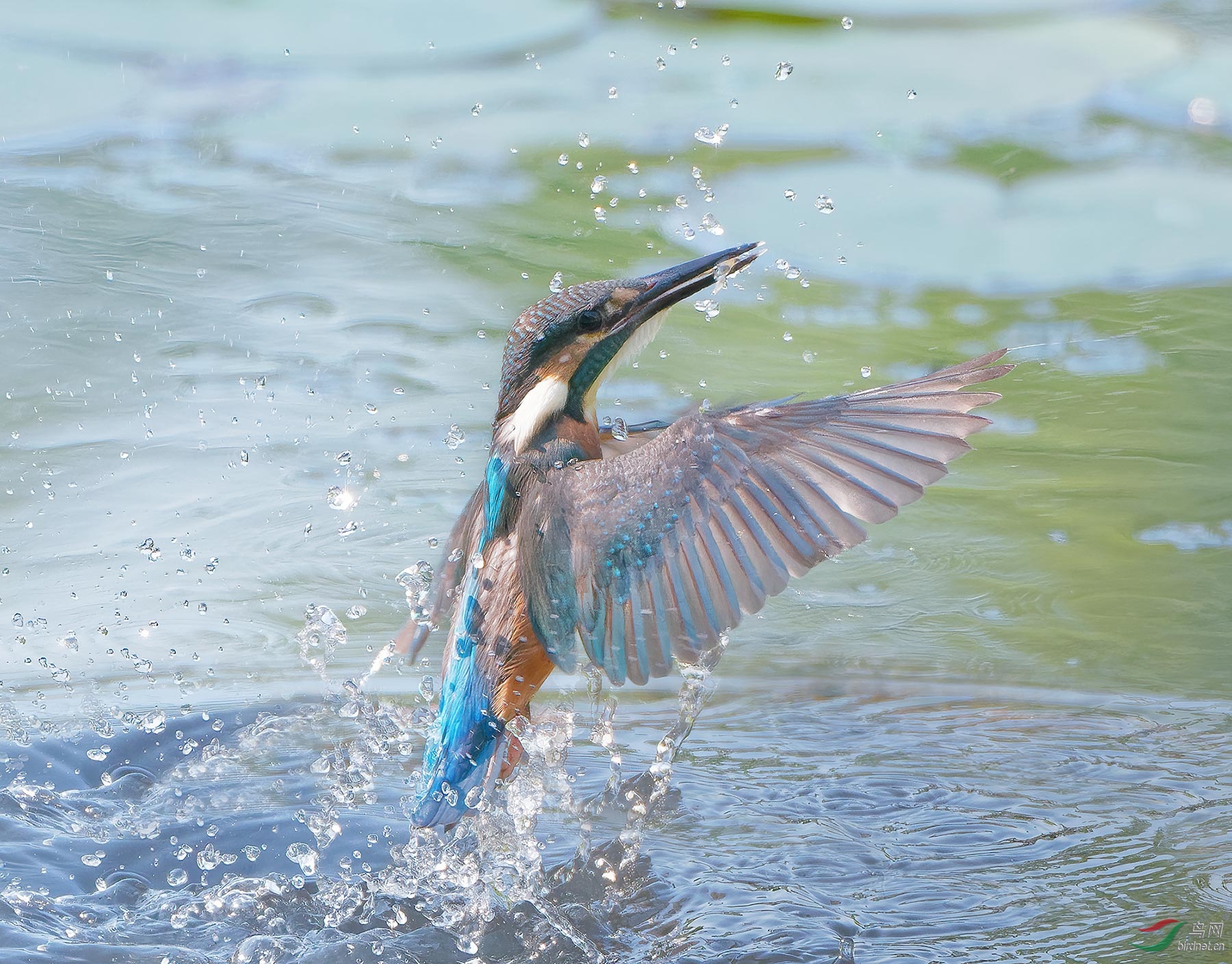 DSC_0570.jpg