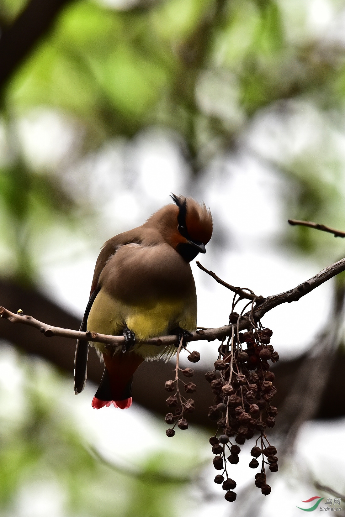 DSC_0273.JPG