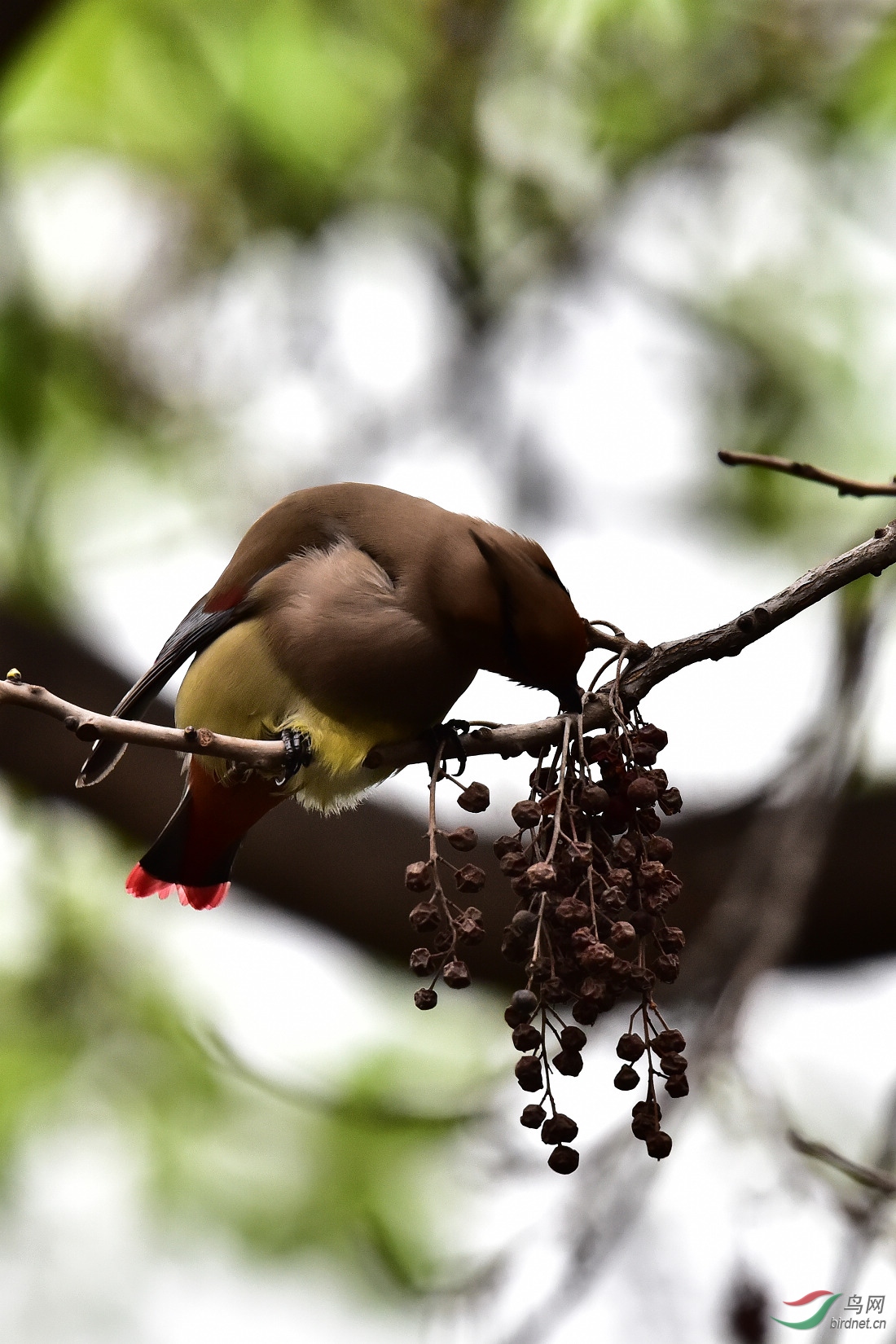 DSC_0274.JPG