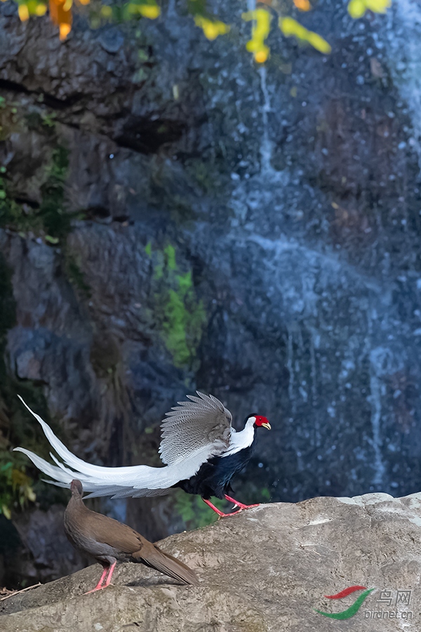 DSC_0721_DxOa.jpg
