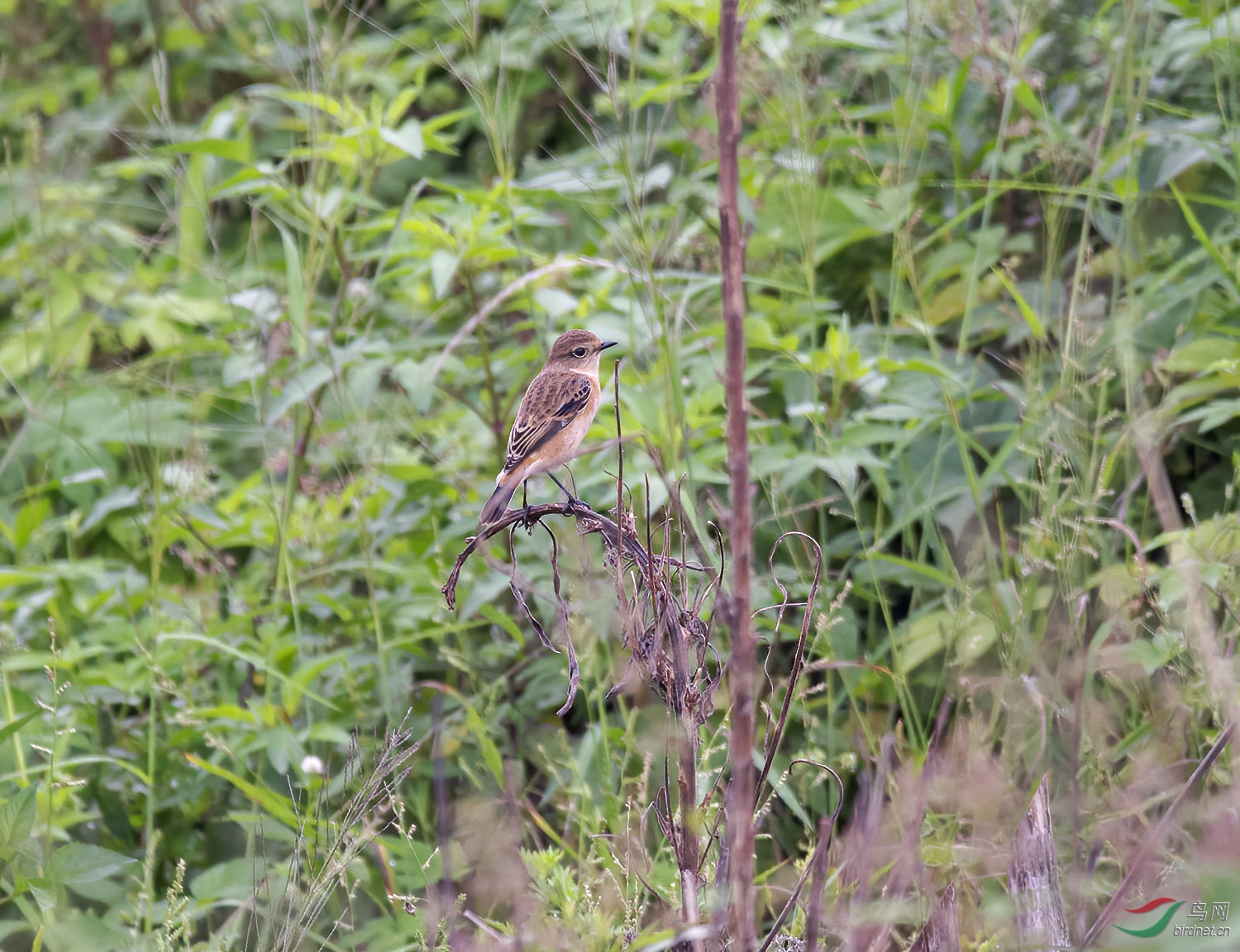 DSC_5173.jpg