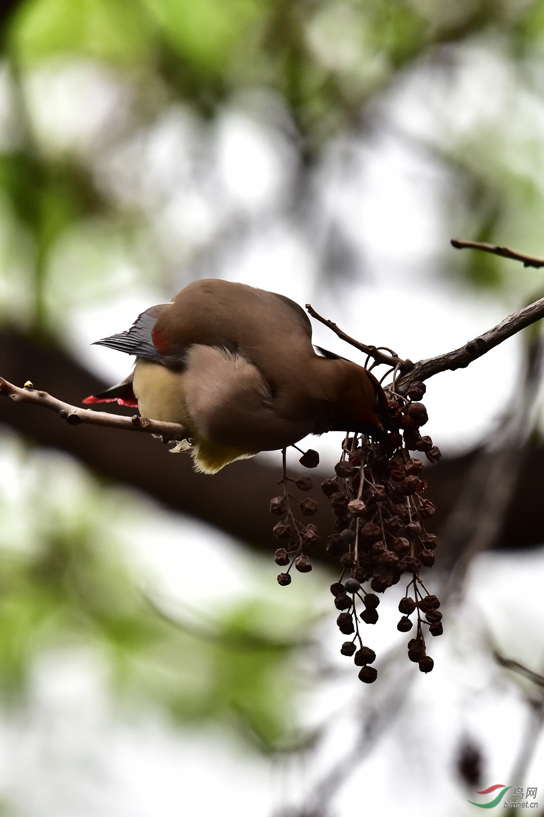 DSC_0278.JPG