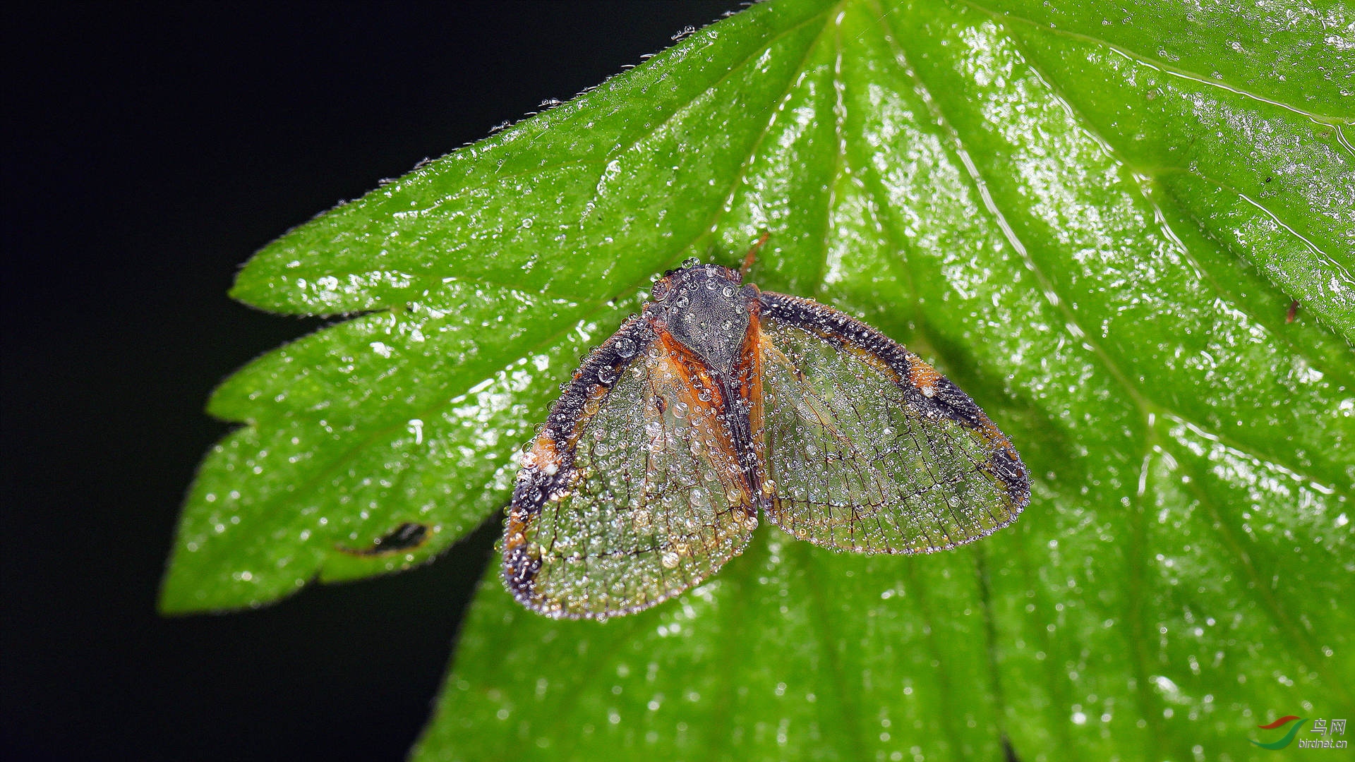 EC6A2510_����_����.jpg