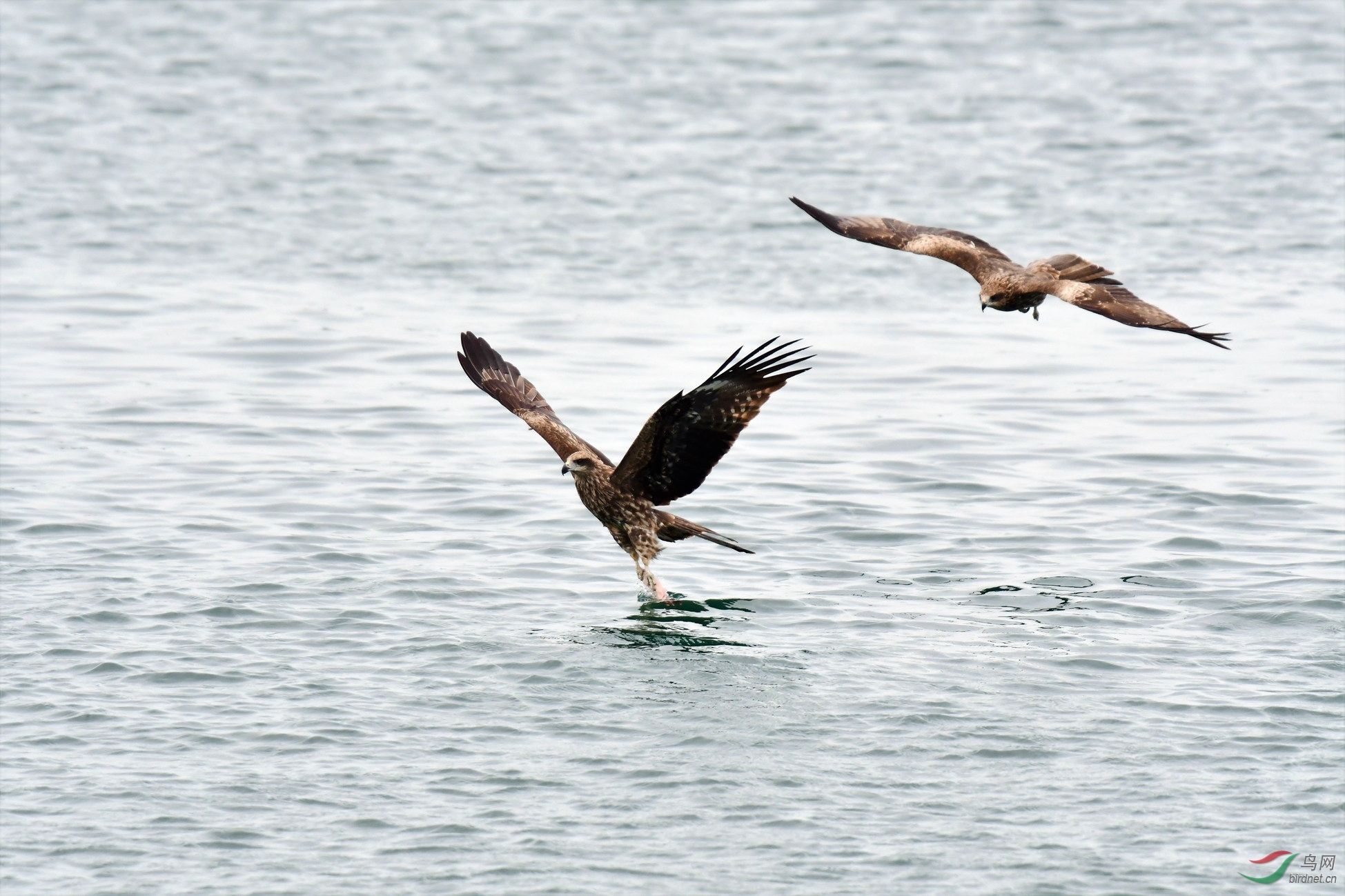 һ���𰲶ʳ ������ͷ (1).JPG