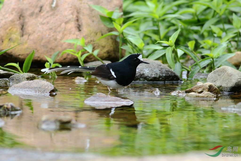 367A8526_����.jpg