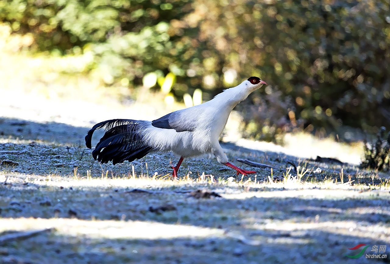 DSC_8574-0-0.jpg