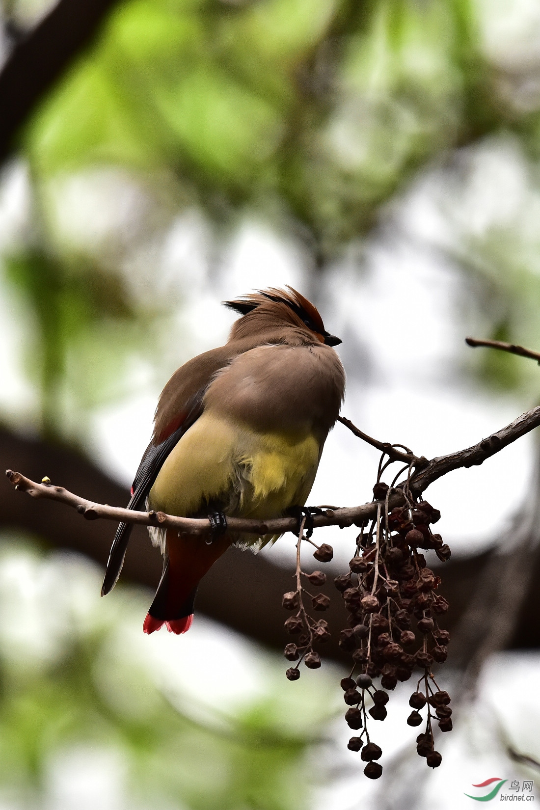DSC_0281.JPG