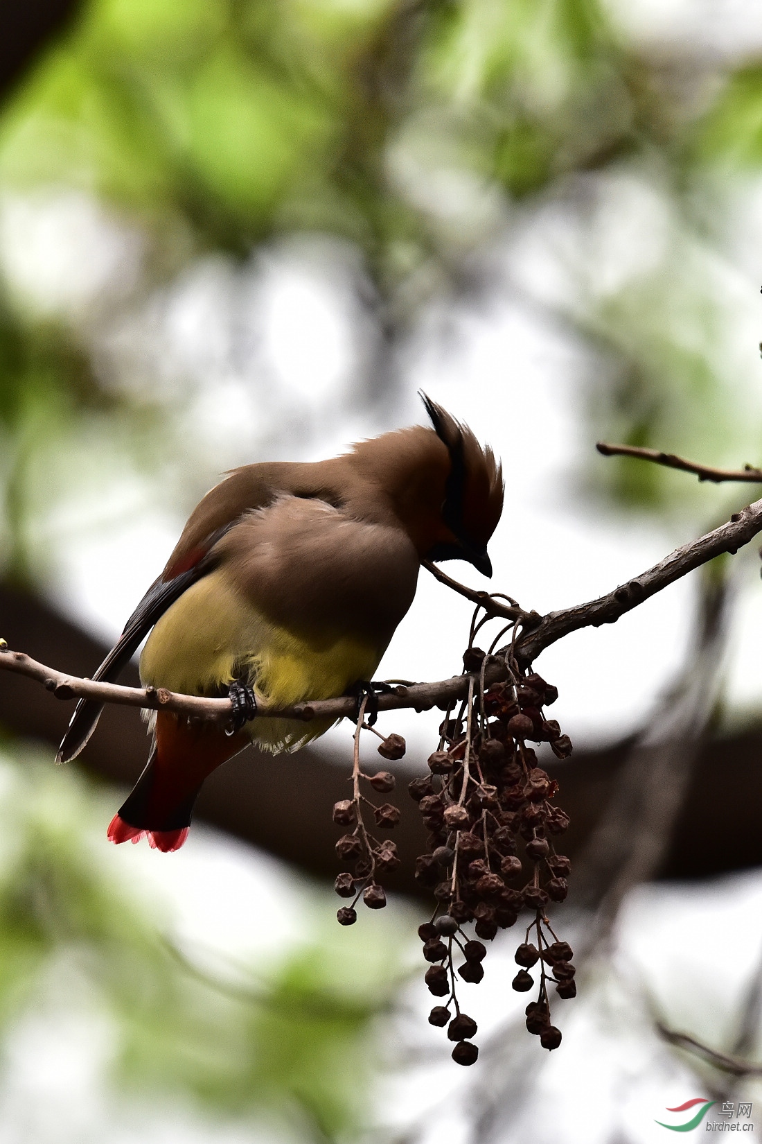 DSC_0283.JPG