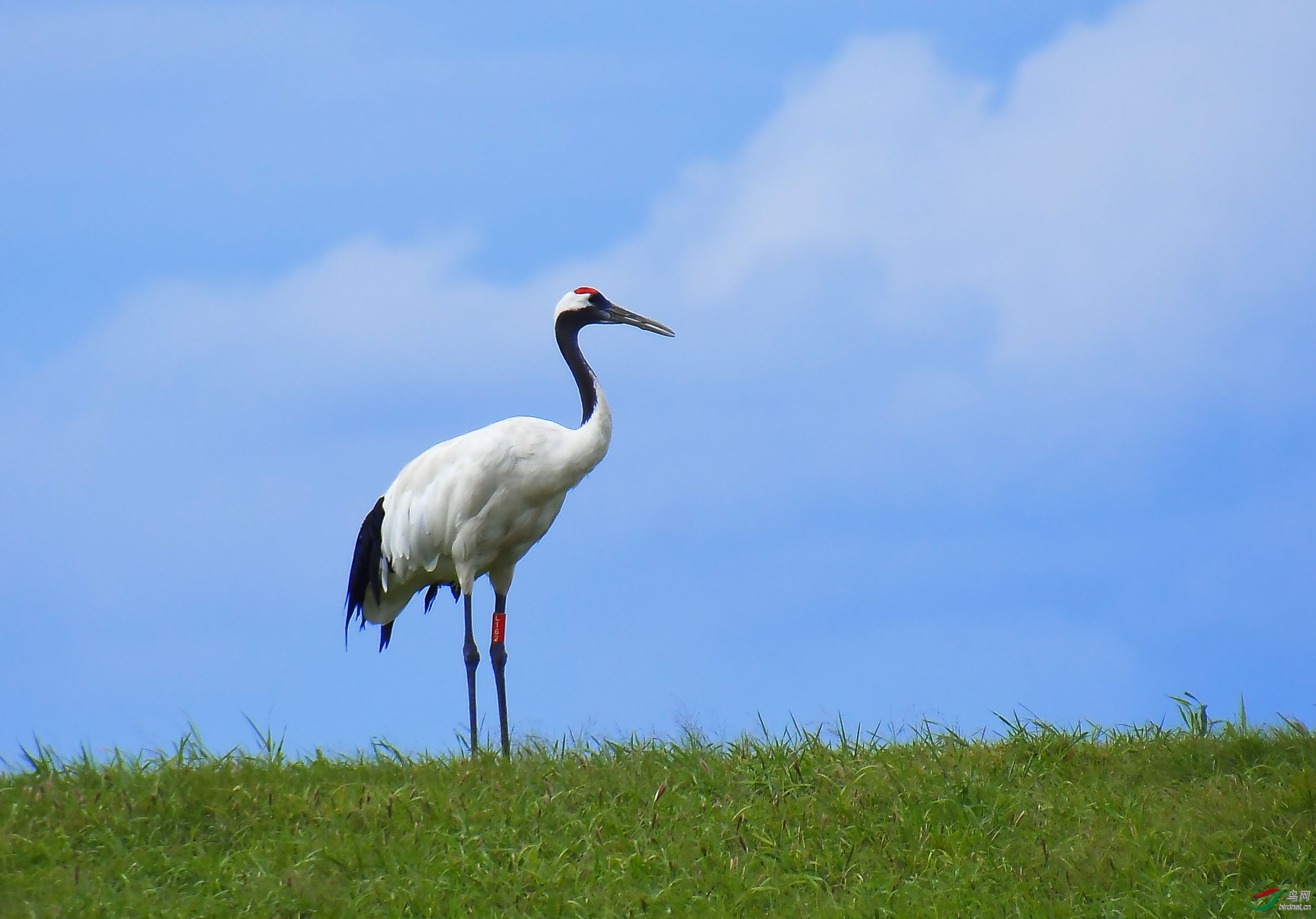 ��ҶW ��ʦ�����ں�����ʡ ��������� ������ ������.jpg