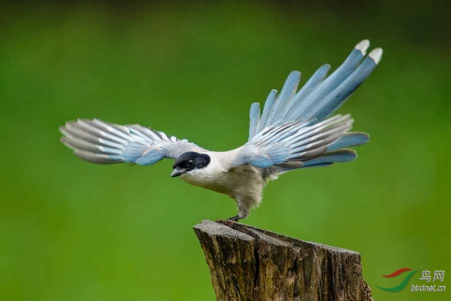 2017-02-05 180214(2).jpg