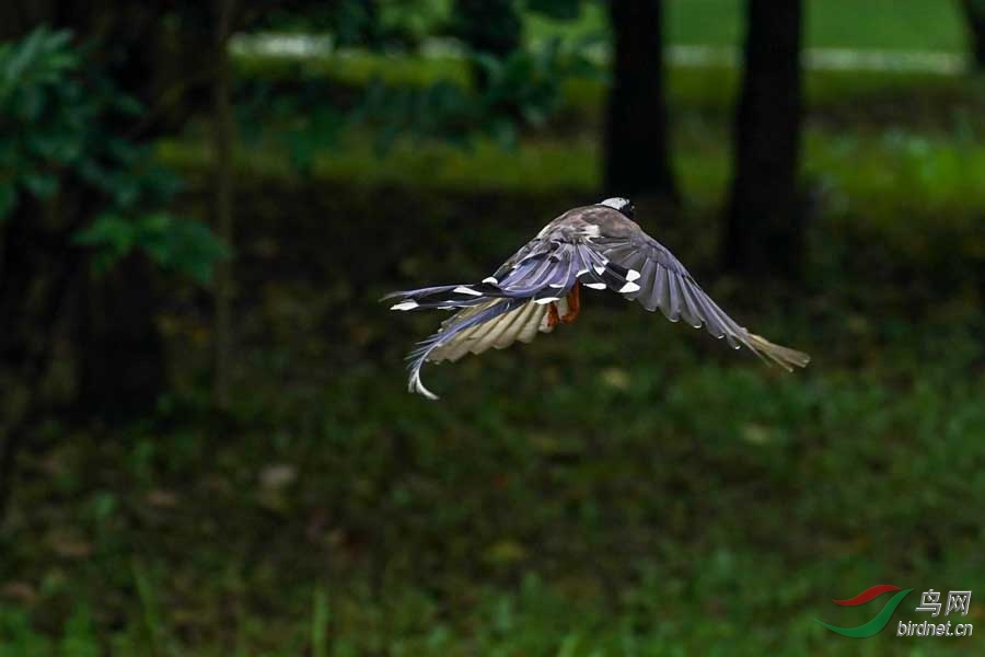 2017-07-01 094817(3).jpg