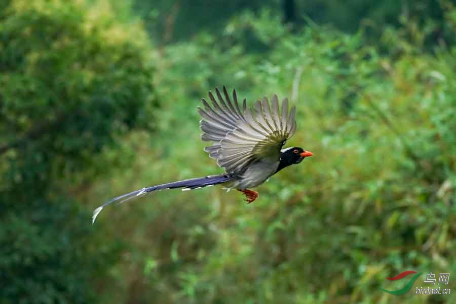 2017-07-01 094904(13).jpg