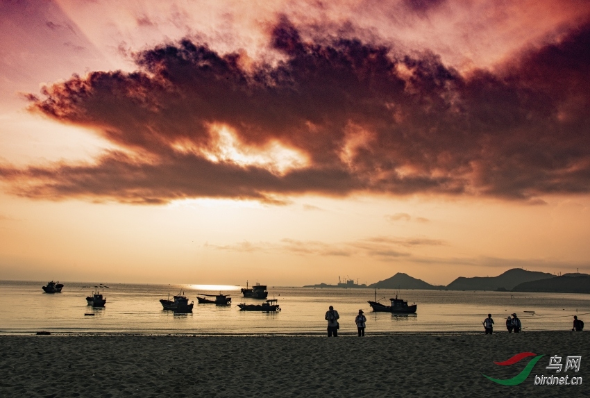 DSC_0182---_conew1.jpg
