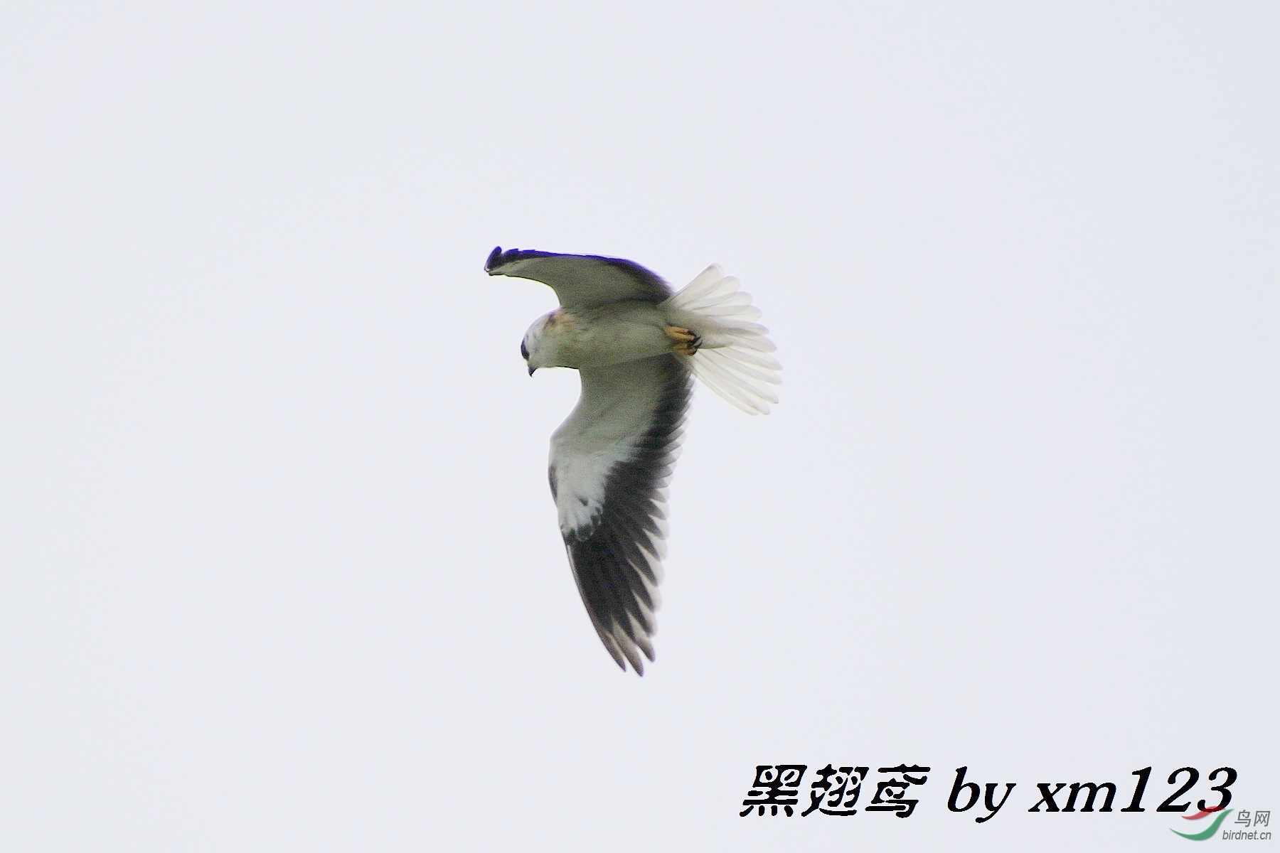 0P2A5138.jpg