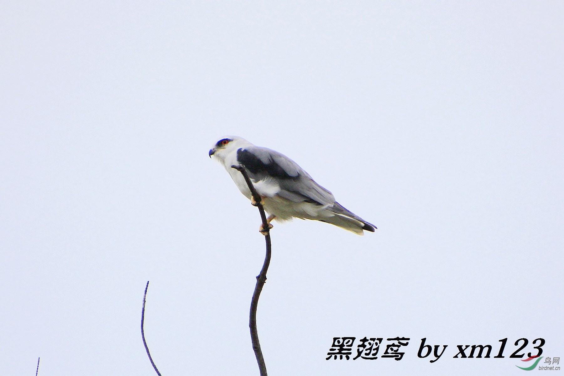0P2A5278.jpg