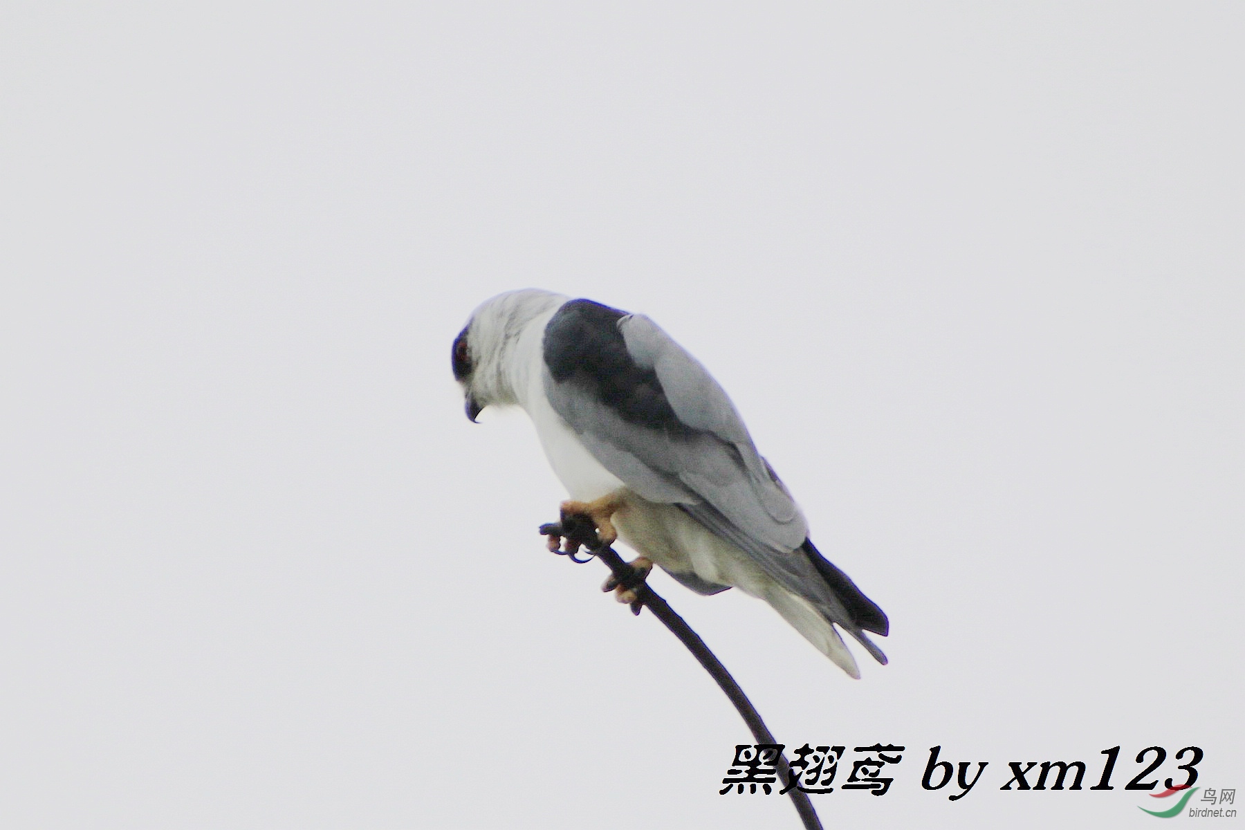0P2A5510.jpg