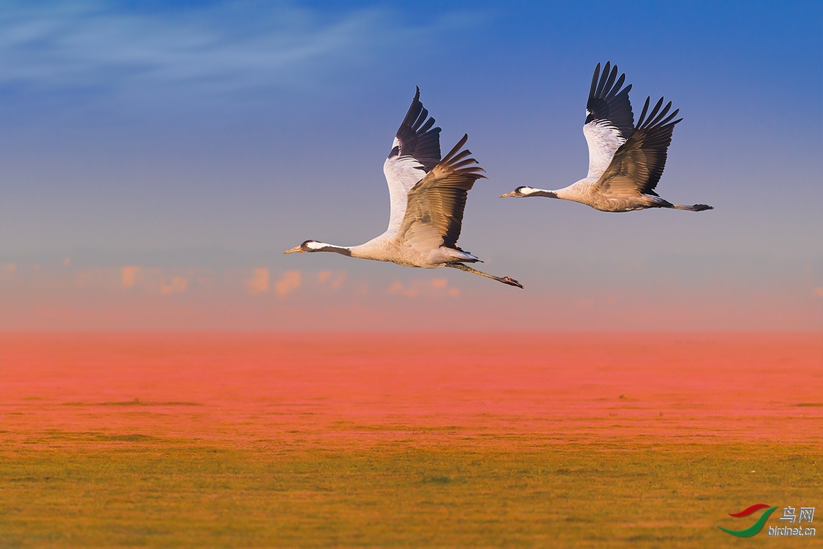 �������� ��ʦ�����ڽ���ʡ �Ž��� ������ ��Ϫ��.jpg