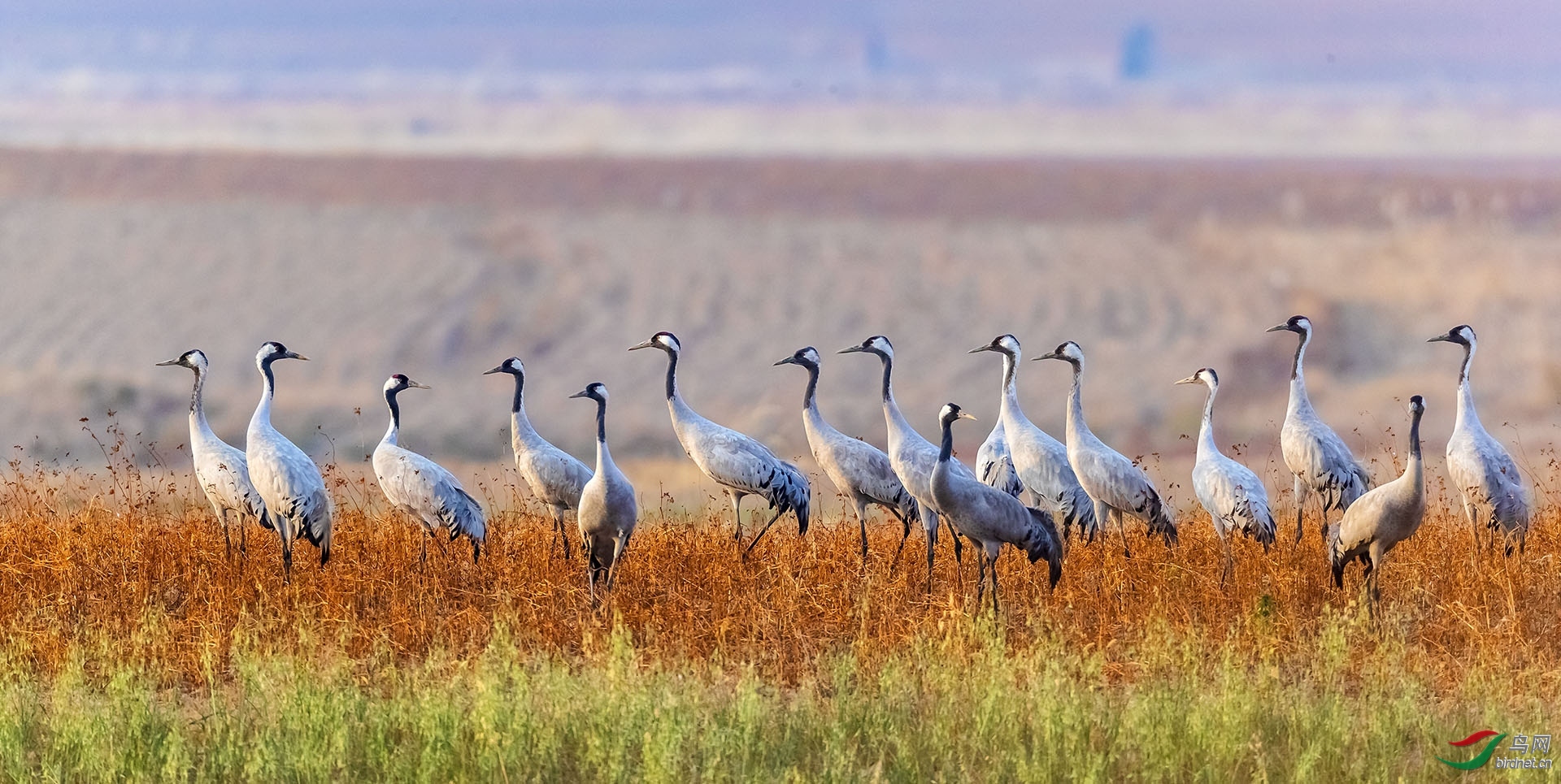 ������Զyy ��ʦ����������ʡ ������ ������.jpg