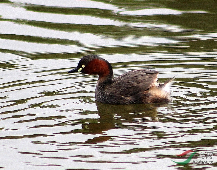 IMG_0069.jpg