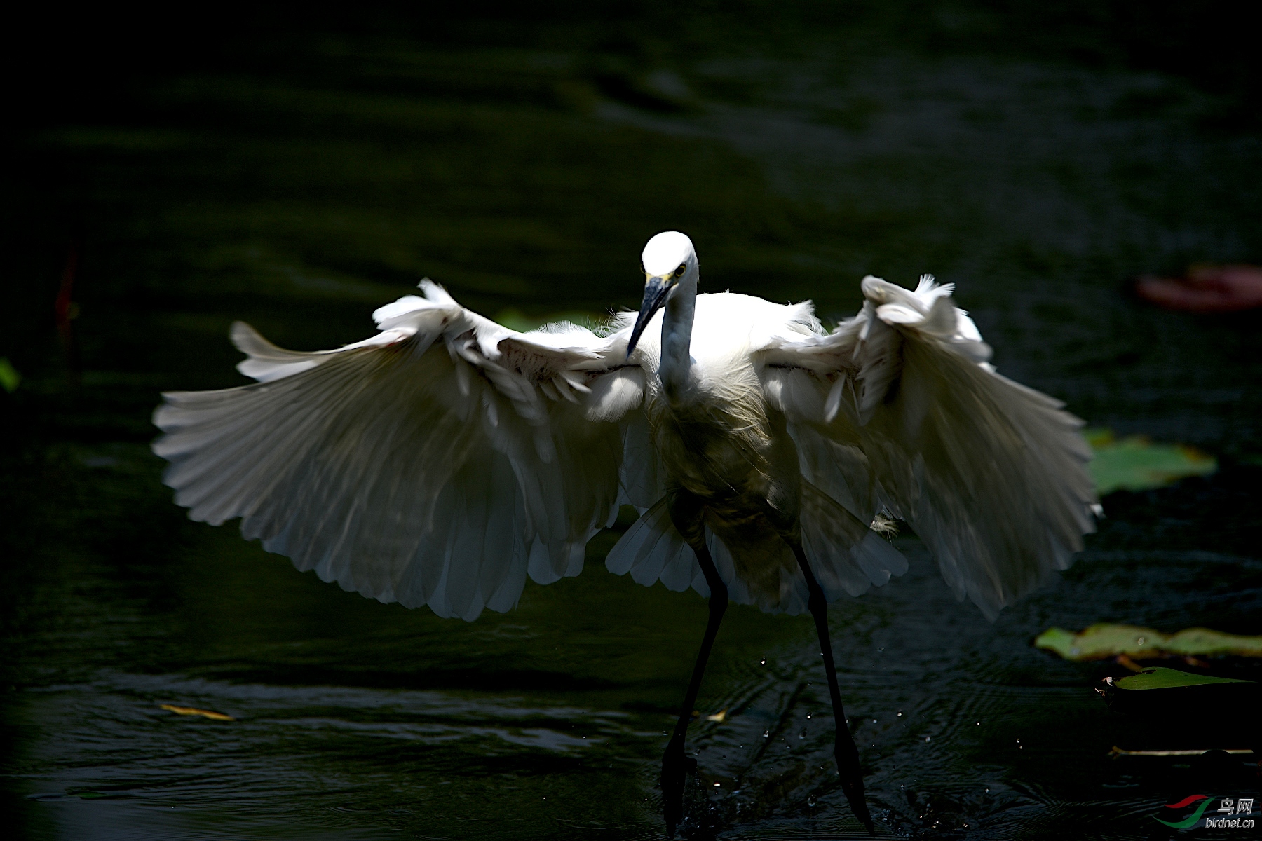 DSC_3752_00007.jpg