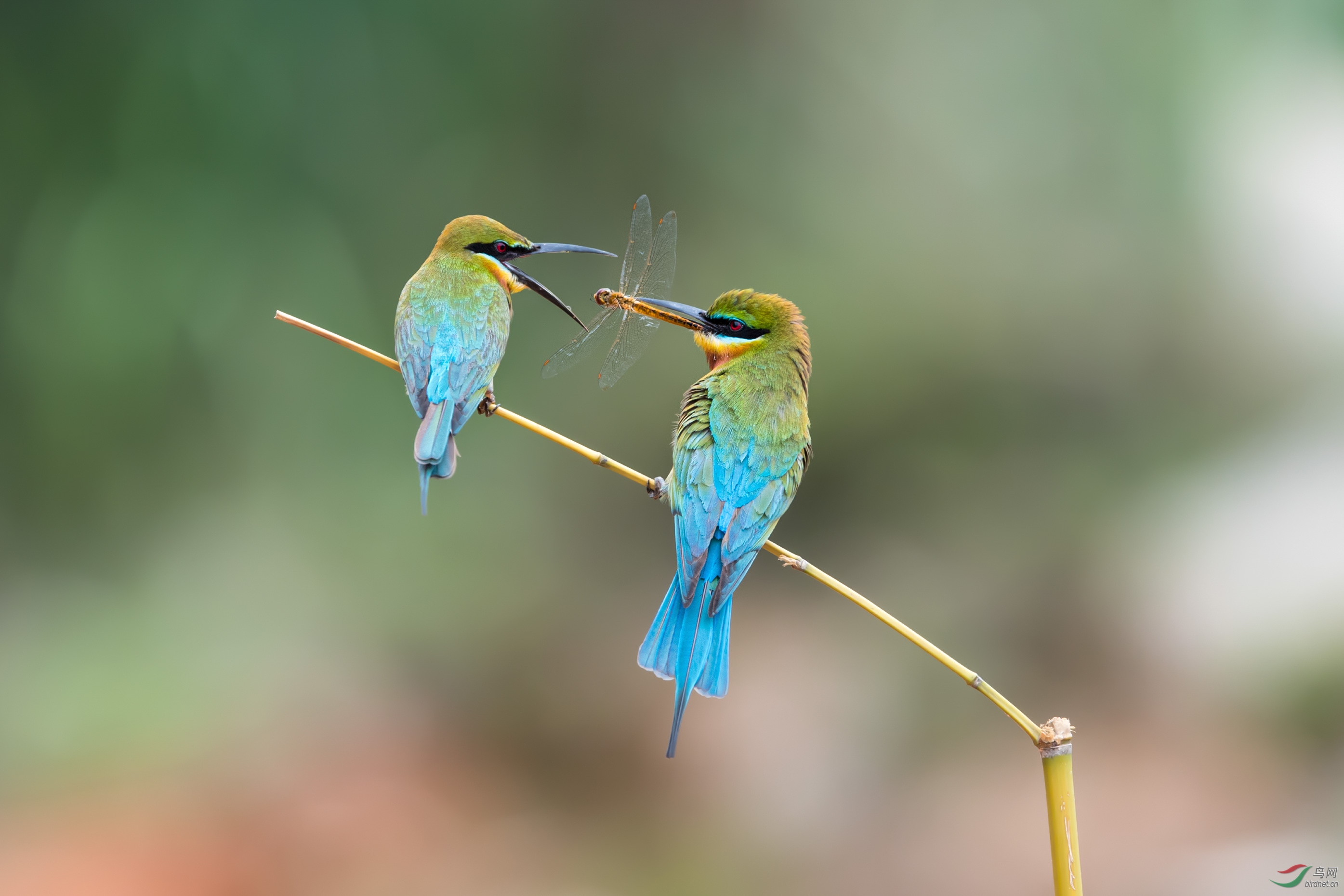 _DSC2452_��ͼ��.jpg