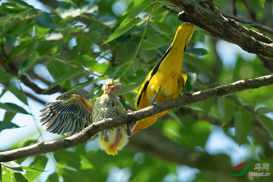 DSC_7855_DxOa.jpg