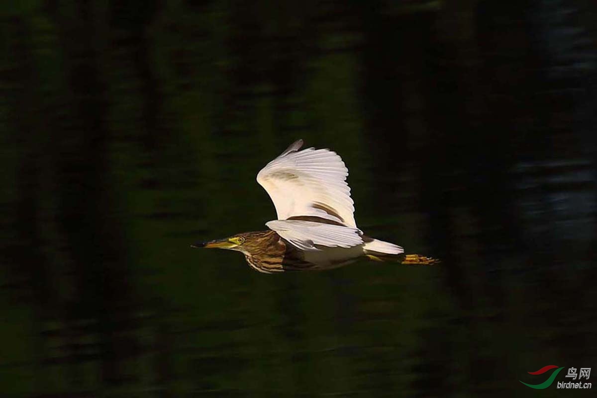 IMG_9482.JPG