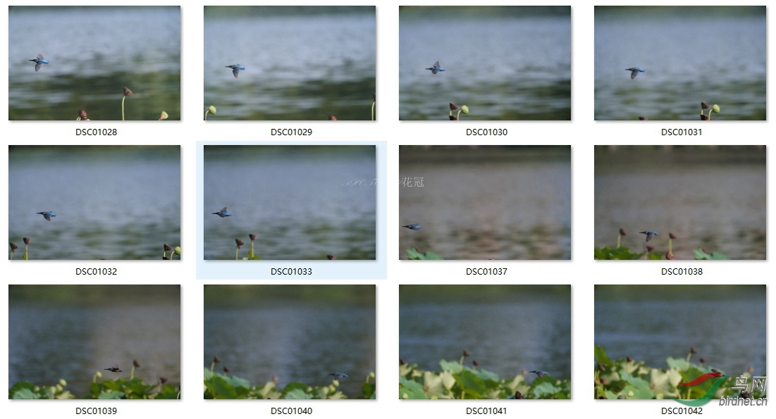 A9 FE200-600G 1.4������ͷ�ֳ�׷��С�����12����������_����_����.jpg