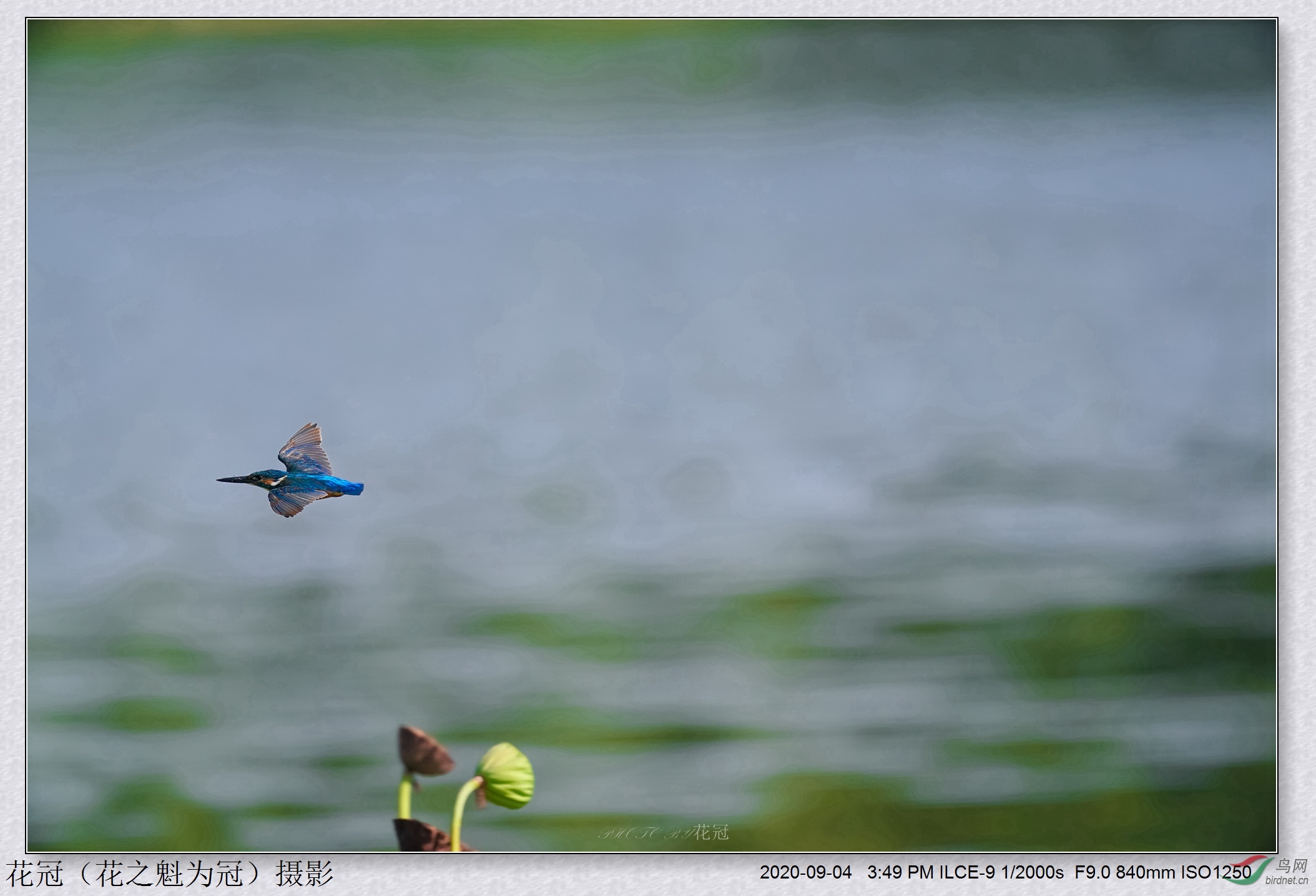 DSC01030B-2_����_����_����.jpg