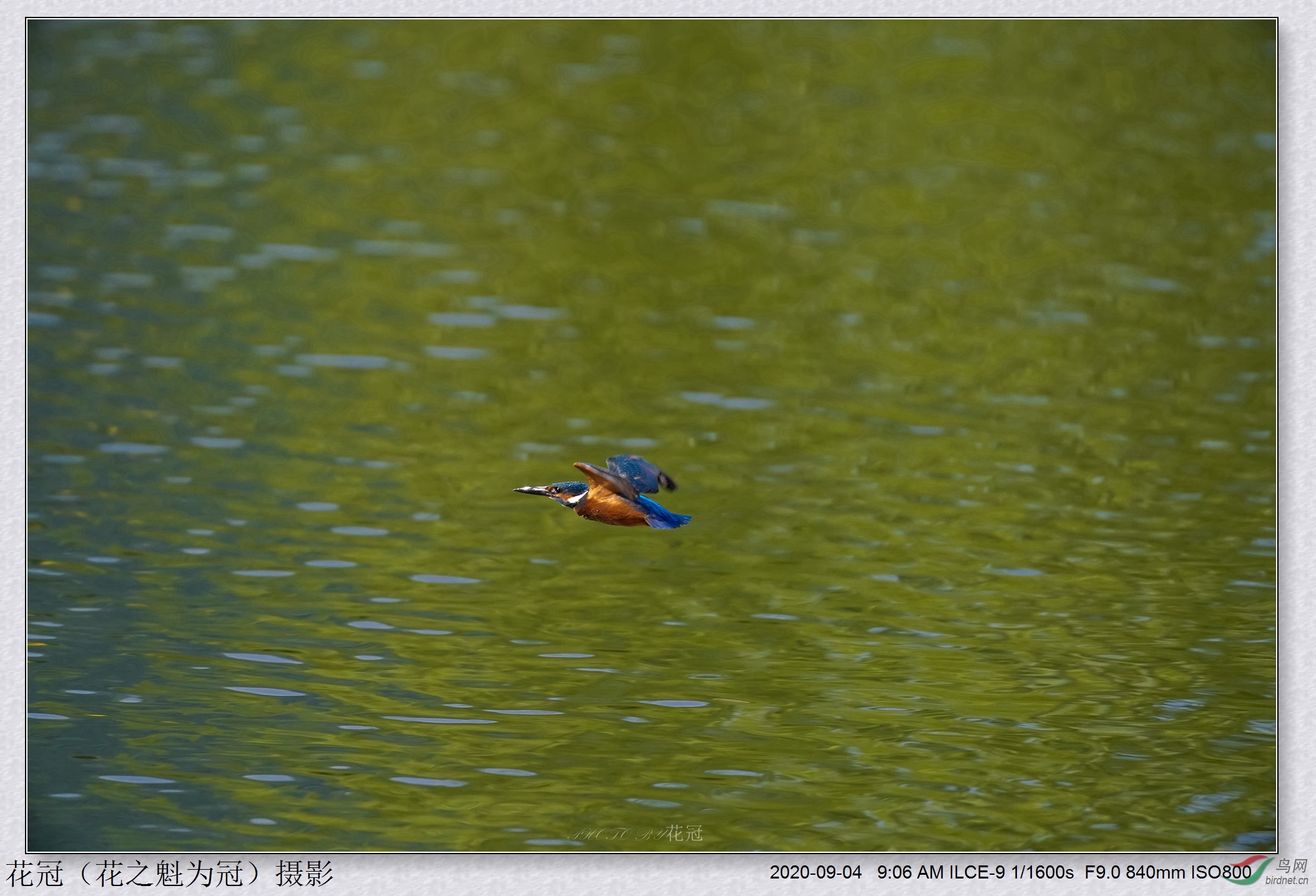 DSC00167B-2_����_����_����.jpg