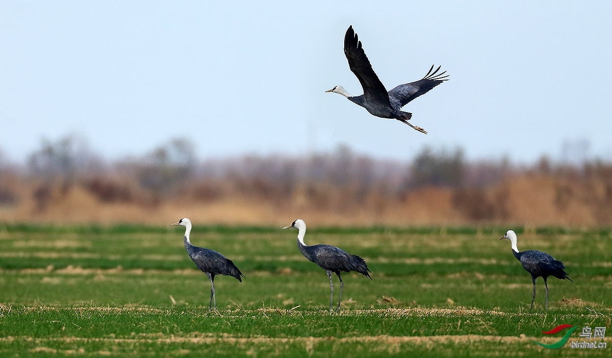 ������ ��ʦ������ɽ��ʡ��Ӫ�кӿ����µ���.jpg