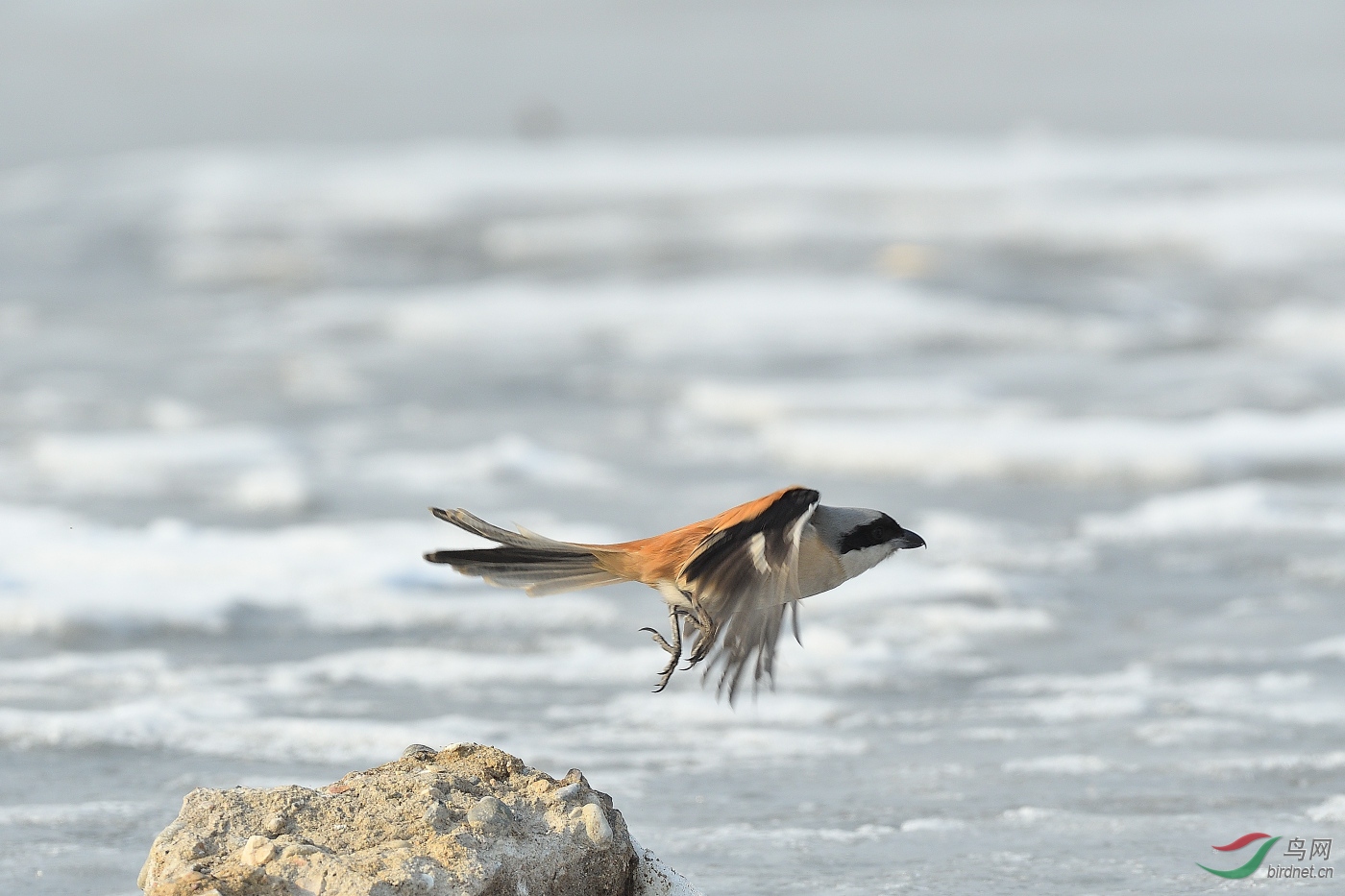 DSC_5566.JPG