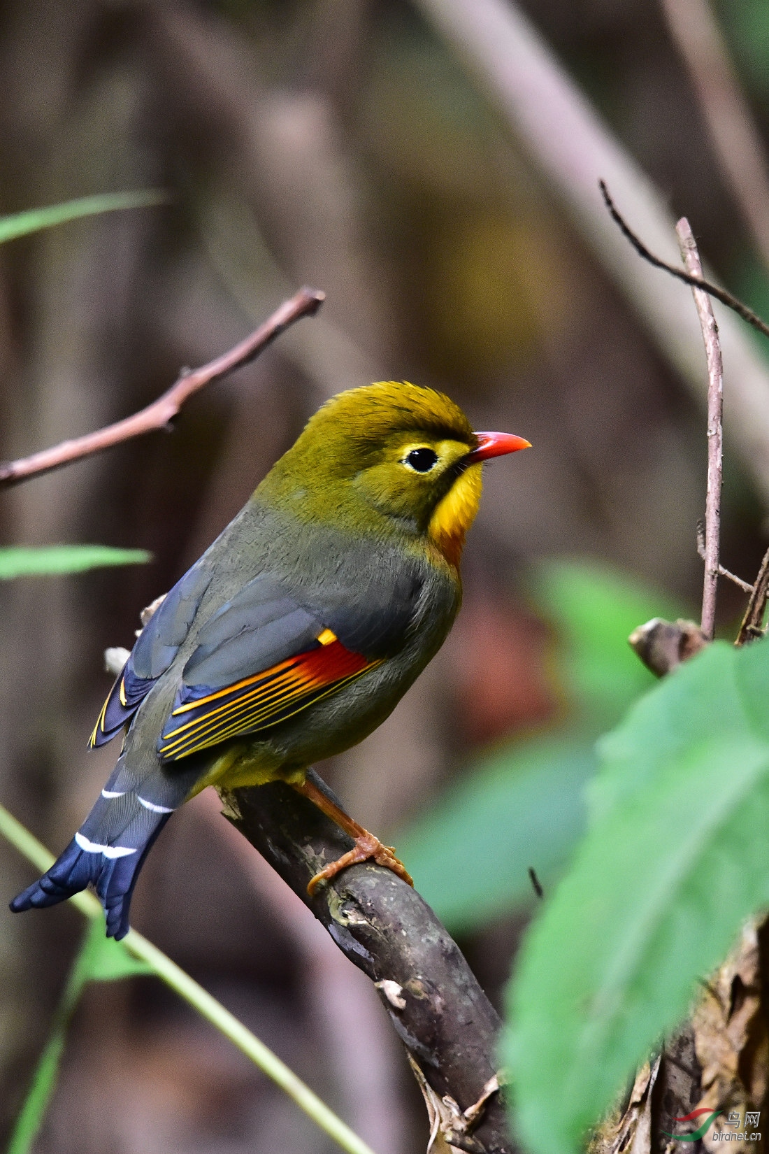 DSC_0302.JPG