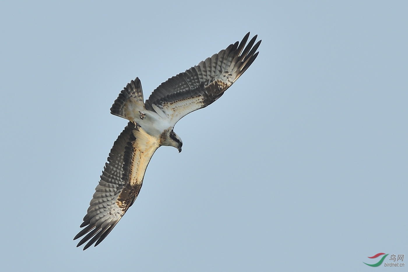 DSC_6092.JPG