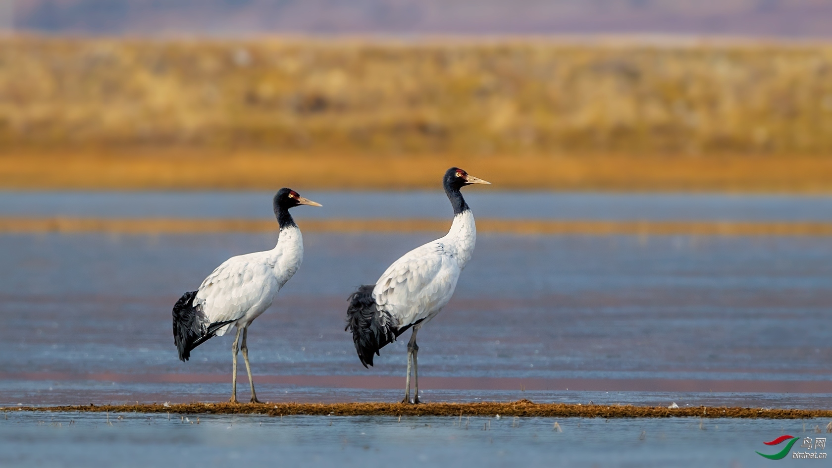 �����Ά� ��ʦ����������ʡ��ɽ���ڳ�����վ��.jpg