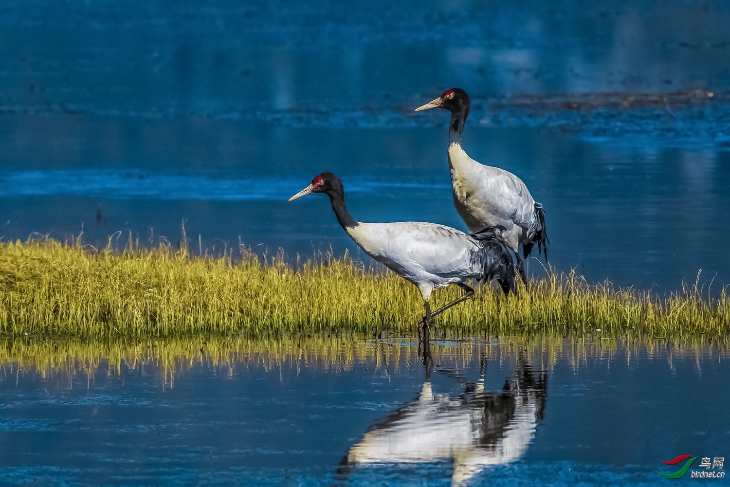 �������� ��ʦ������.jpg