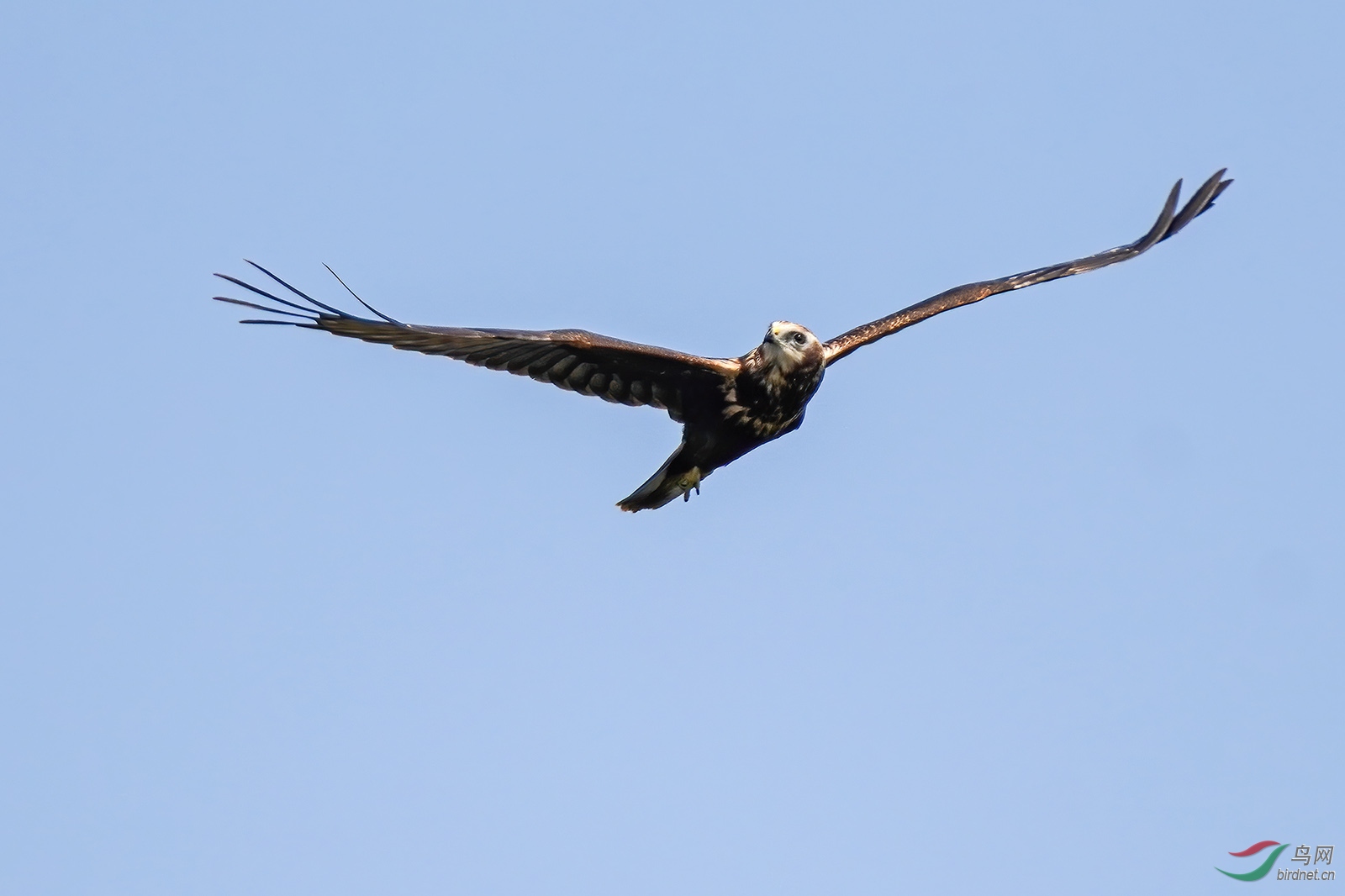 DSC08901-10.jpg