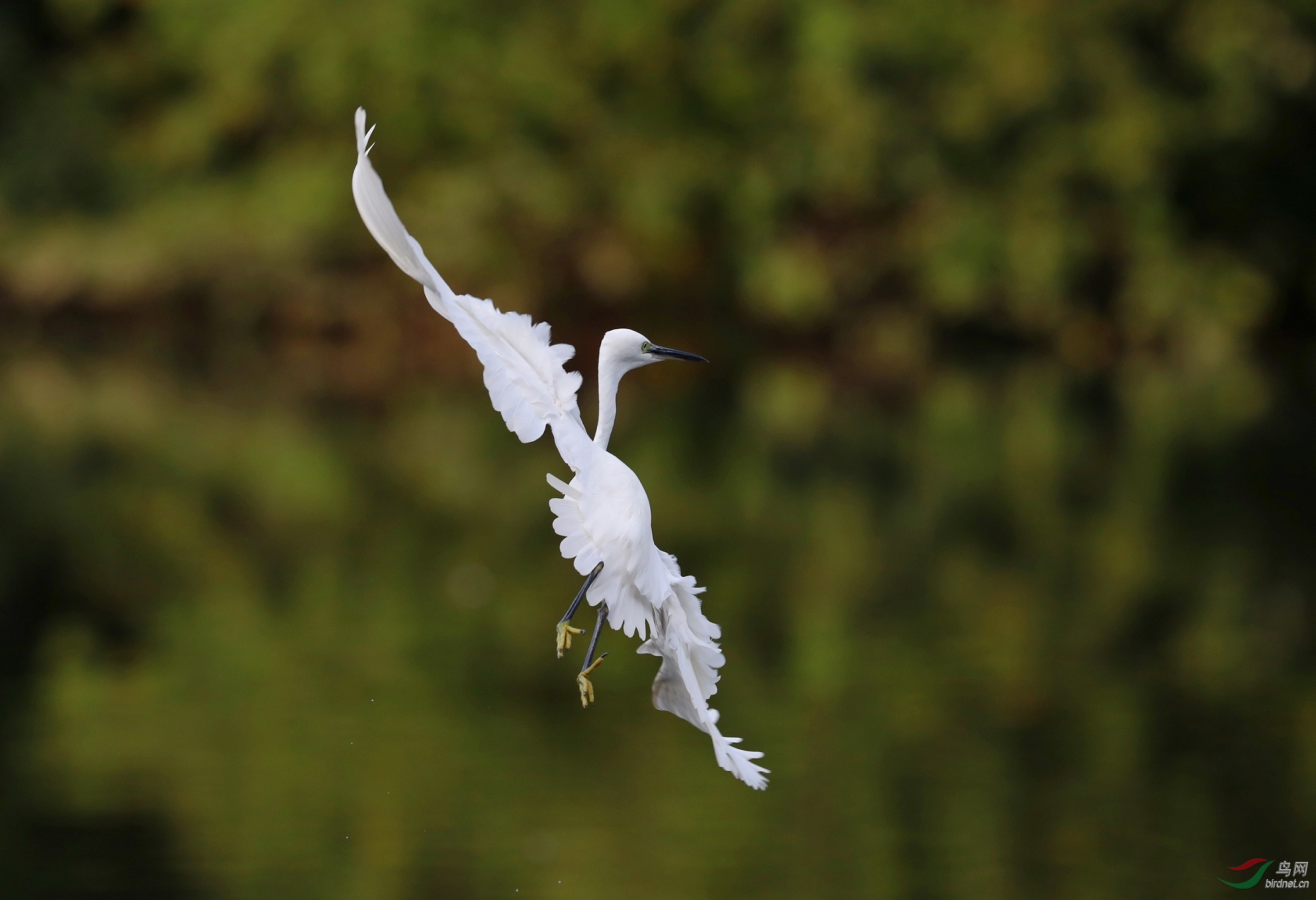 A15I0092 - ����.JPG